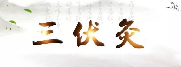 艾灸冬病夏治，春夏養(yǎng)陽，三伏灸果真如此神奇？